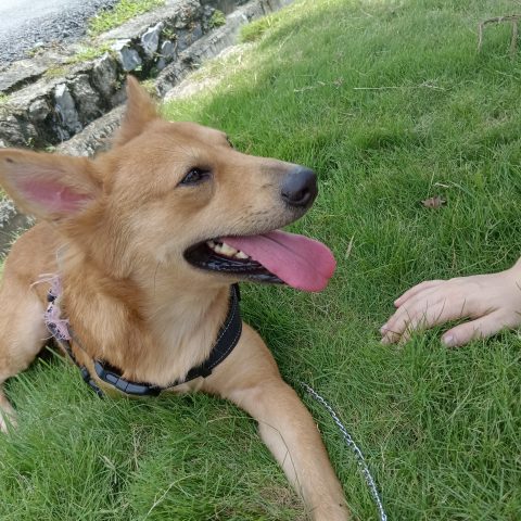 Little Ria the Survivor – The story of Ria\'s traumatic beginnings and