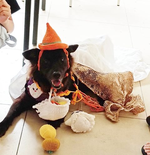 Little Ria the Survivor – The story of Ria\'s traumatic beginnings and